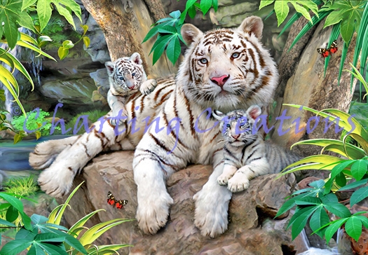 White Tigers Of Bengal